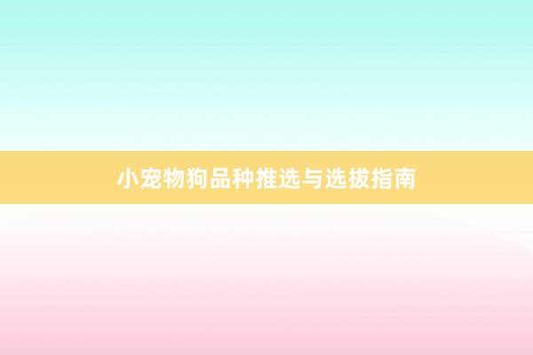小宠物狗品种推选与选拔指南