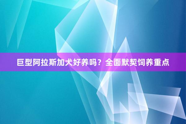 巨型阿拉斯加犬好养吗？全面默契饲养重点